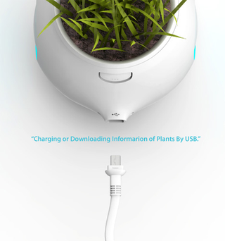 Illustration for article titled Digital Pot Lets Plants Tell You Their Demands